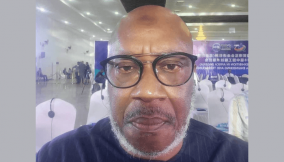 Implementation of program pillars slows capacity utilisation in auto industry – Mamudu