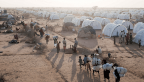 3,122 Nigerian refugees in Cameroon for repatriation