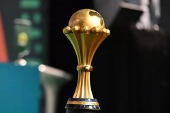 Nigeria–Morocco forum strengthens bilateral ties through AFCON fan support initiative