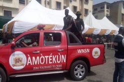Amotekun (1)