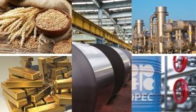 Top 5 world  key commodities trends to watch for in 2025