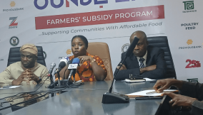 Lagos taps subsidy to support poultry, fish industry from collapse
