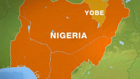 FG targets N300bn from date palm in Yobe