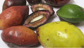 African Almonds or Tropical Almonds – Telling the African food story!