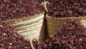 How to succeed as a hibiscus exporter in 2025