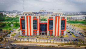 How Nigeria can effectively tackle cancer scourge – IHVN