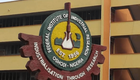 New innovations at FIIRO and youth employment