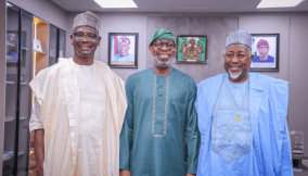 Nasarawa pivotal to minerals development – Alake