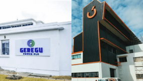 Debts to Geregu, Transcorp hit N420bn