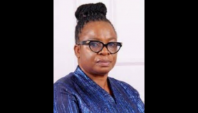 WED: Engineers pledge professional role in shaping sustainable future