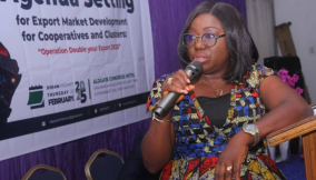 How cooperatives can boost Rivers’ export quota