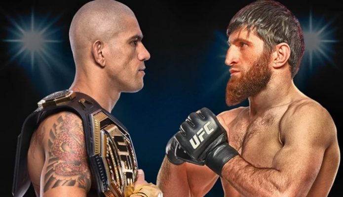 Alex Pereira-Magomed Ankalaev