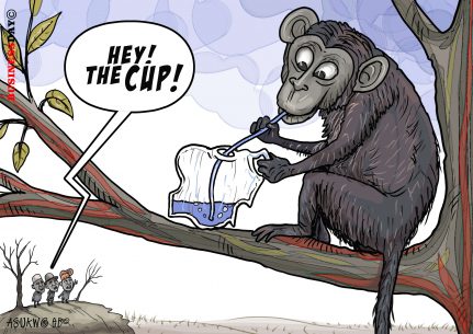 Monkey Business