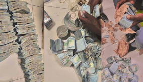 Customs Intercept over $1.1m inside date fruit pack at Kano Airport