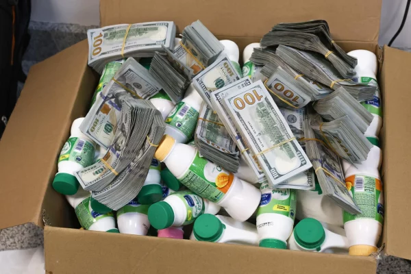 Customs intercepts undeclared $193,000