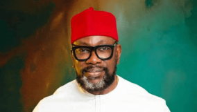 Why I want to represent Anambra South at Senate – Amamgbo