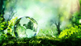 KWEPA, KW-IRS partner on environmental protection, revenue generation