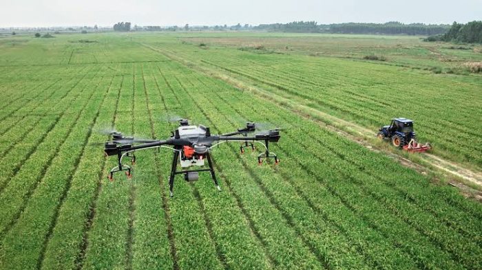 Agribusiness