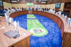 NGF inaugurates platform to attract investors, bridge N100bn infrastructure gap