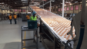 Nigeria’s biscuit demand drops as consumer wallets shrink