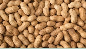 Here are 10 health benefits of peanuts