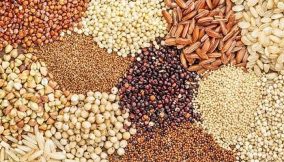 Philanthropists urged to support commoners as grain prices skyrocket