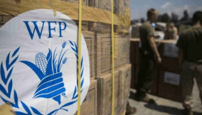 300,000 malnourished children in northeast Nigeria face hunger amid aid cuts – WFP