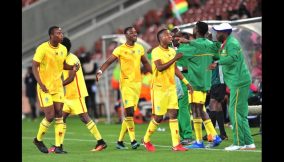 Zimbabwe-players (1)