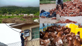 How lent, ramadan, heatwaves affect businesses in North East