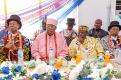 Ijaw elders, leaders, give hints how to protect pipelines, laud PINL efforts