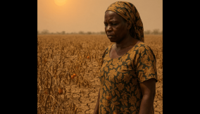 Climate change and Nigeria’s growing food crisis