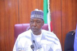 A wake-up call to Zulum, military as Borno face waves of ISWAP attacks