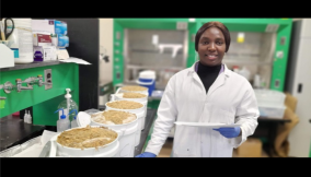 Nigeria can transform mushroom production waste into valuable feed resource to boost circular agricultural economy – Anotaenwere