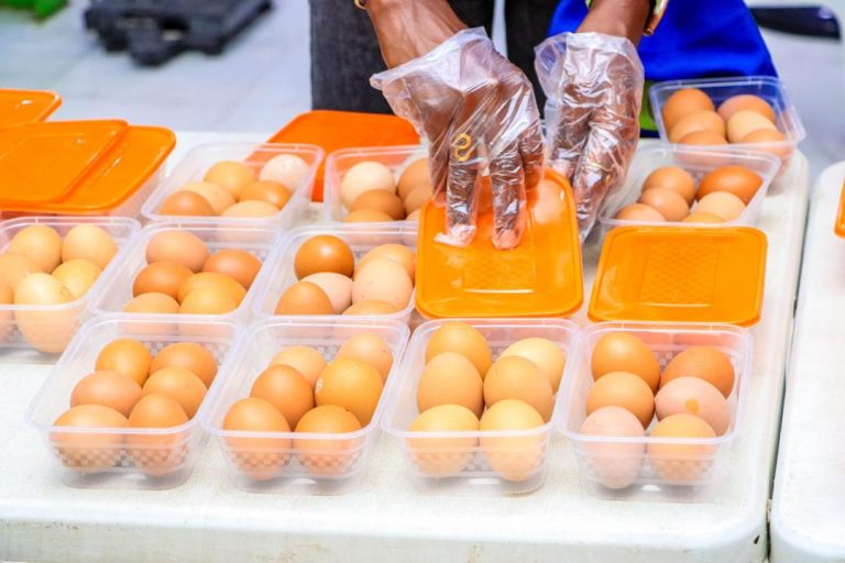Right to Protein Nigeria