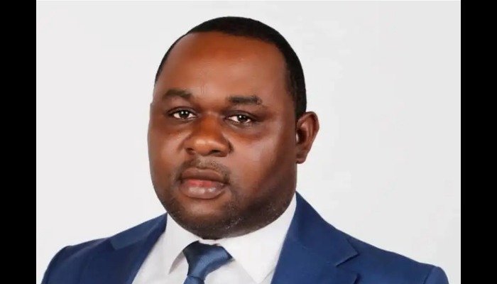 Social media governance critical to Nigeria’s global image, Says Ogwus