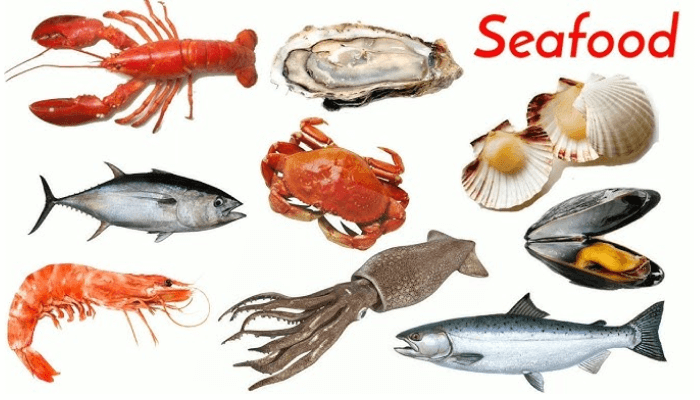 Back to Seafoods