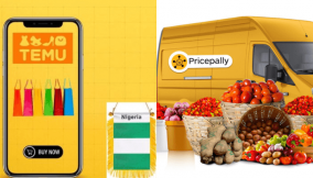 Temu, PricePally entrant into Nigerian e-commerce shows consumers’ preference