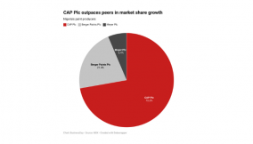 CAP Plc outpaces peers in market share growth