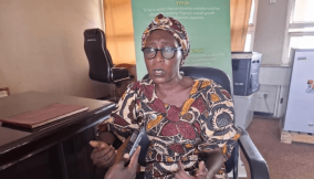 Product branding and packaging will push Borno to economic greatness – Hannatu Ndahi