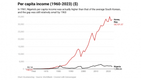 South Korea’s democracy responded to the crisis, and what Nigeria should learn