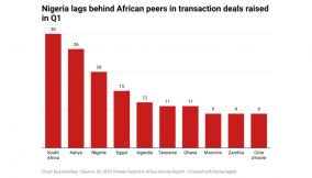 African private capital falls to $1.6bn as mega deals shrink — Report