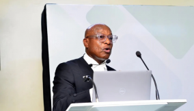 Pinheiro calls for charter status, stronger constitution to reposition NANTA as global force