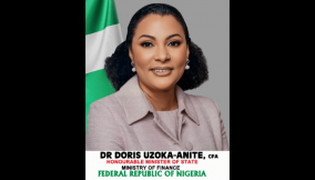 Meet Doris Uzoka-Anite Nigeria’s quiet power broker in public finance