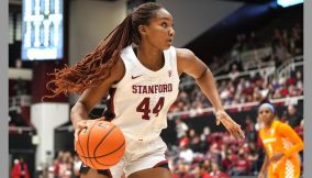 Meet the women of Nigerian heritage dominating the WNBA courts
