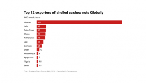 Trump’s tariff on Vietnam is boon for Nigeria’s cashew