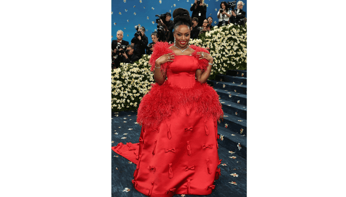 Chimamanda Adichie