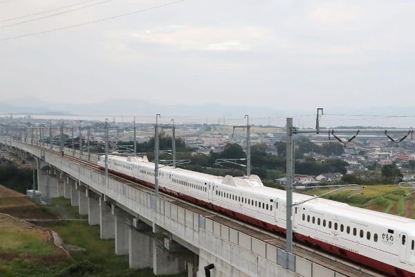 d940bfb962ec55fe84c482b75d056a6d