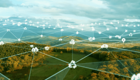 Beyond tech: Why Africa’s competitive edge lies in digital well-being