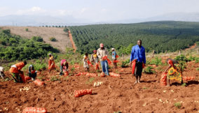 Improving livelihoods through collaboration