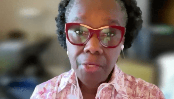 Nigeria chapter of Climate Governance Initiative debuts